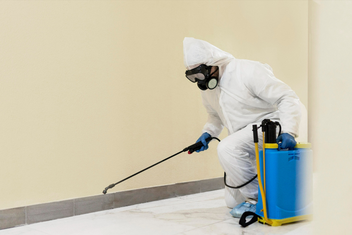 Termite (Pest Control)